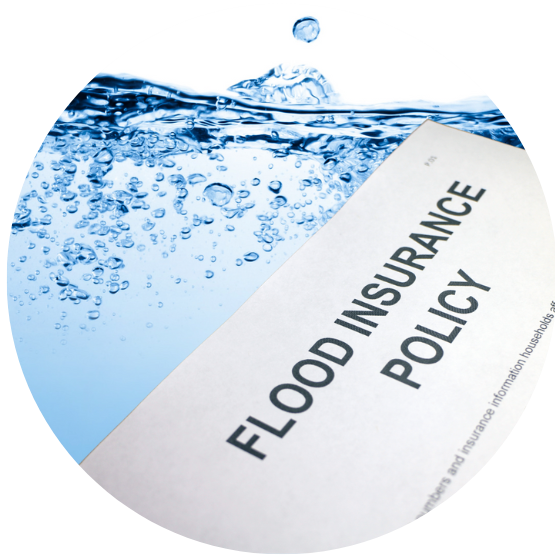 Since 1988, Brian Holter has provided Water Restoration Solutions to major Universities, Hospitals, School Systems, Manufacturing Facilities, Restaurant.. Read More..